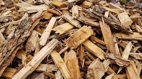 Plaquettes de bois